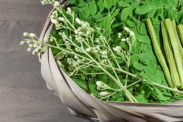 moringa leaf and flowers