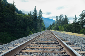 tracks