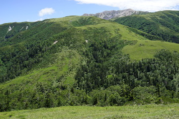 太郎平　登山　山道　空　絶景