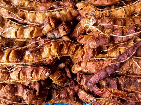 tamarind fruit