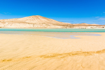 Fototapeta na wymiar Footprints in the sand dunes on the beach of Sotavento. Fuerteventura. Canary Islands. Spain