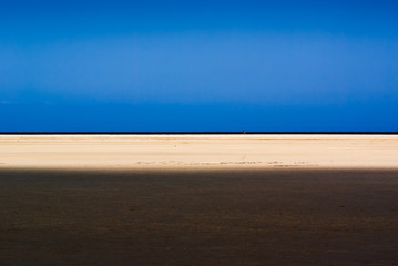 Three colors on the beach Sotavento. Fuerteventura. Canary Islands. Spain