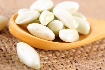 Seeds of beans with wooden spoon on jute canvas, healthy food