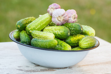 Cucumbers and garlic in metal bowl in garden on sunny day