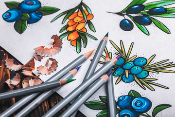 beautiful sketch drawing flowers with colored pencils lying on old wooden background