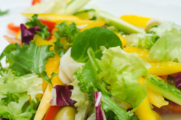 healthy vegetables salad