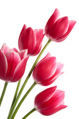 Naklejka premium Bouquet from five flowers