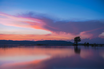 Tree in the lake light evening twilight, Colorful landscape