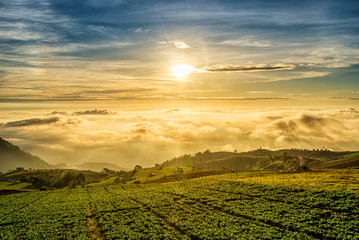 Sunrise over mountain at Phu Tab Berk,THAILAND