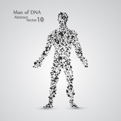 Molecular structure in the form of man