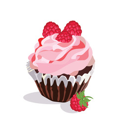 Delicious raspberry Cupcake isolated on white background Vector