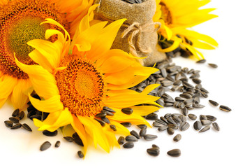 Obraz premium Yellow sunflowers and sunflower seeds on a white background