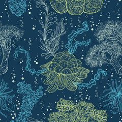 Obraz premium Collection of marine plants, leaves and seaweed. Vintage seamless pattern with hand drawn marine flora. Vector illustration in line art style.Design for summer beach, decorations.