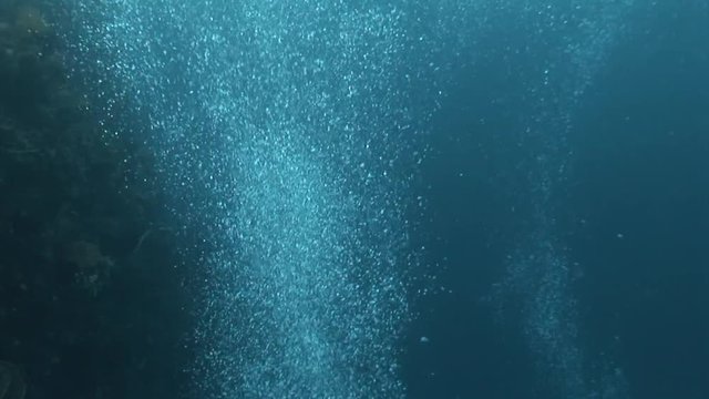air bubbles from divers clear water