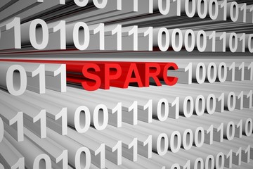 SPARC in the form of binary code, 3D illustration