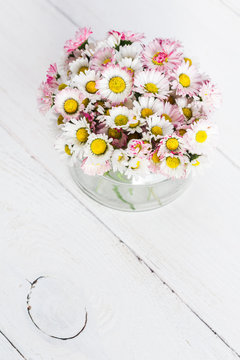 Daisy flowers in the jar, close-up