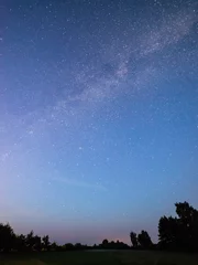Fototapeten Schöne Milchstraßengalaxie auf einem nächtlichen Himmel und Silhouette des Baums © Martins Vanags