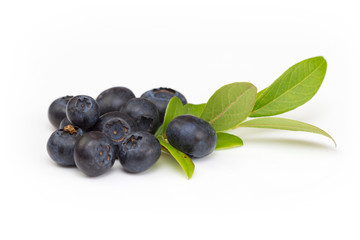 Blaubeeren mit grünen Blättern auf weißem Hintergrund