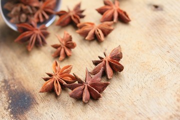 star anise and cinnamon