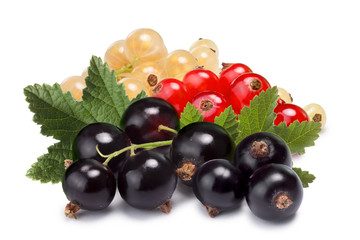 Clusters (bunches) of red,white and black currants together