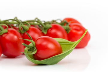 Tomate im Basilikumblatt vor Rispentomaten auf weißem Hintergrund isoliert