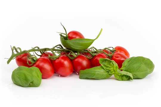 Tomatenrispe mit Basilikum auf weißem Hintergrund isoliert