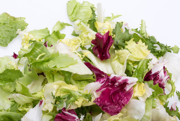  Green and red leaf of lettuce . Isolated on a white background