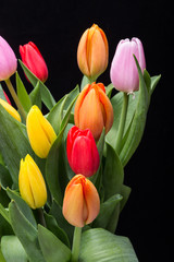 colorful bouquet of fresh spring tulip flowers