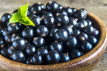Organic black currant
