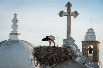 Stork nest and towers of main church of the city Olhao, Portugal at dawn © ventura