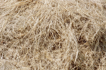 dry straw, background