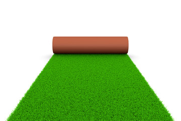 Grassy Carpet
