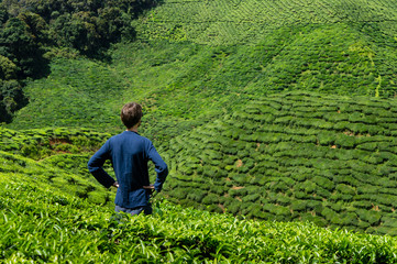 Man enjoying the view in a tea plantation