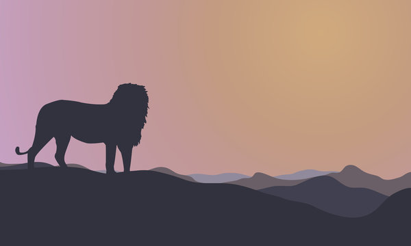 Landscape lion silhouettes at morning