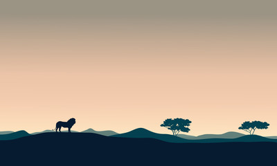 Fototapeta na wymiar Beautiful landscape lion silhouettes