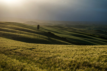 Tuscan countryside