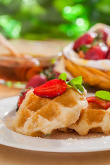  Belgian Waffles