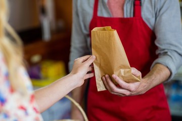 Mid section of male staff giving the paper bag to woman