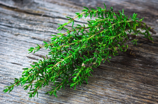 Fresh organic Thyme   on wooden background
