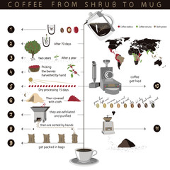 Инфографика о кофе