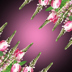 Beautiful floral background of lupine and pink tulips 