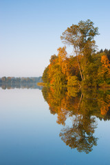 Symmetry reflection on the lake