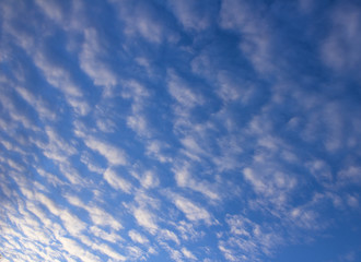 Fototapeta premium blue sky with many clouds