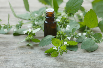 melissa essential oil container