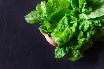 Fresh leaf of lettuce salad on black background