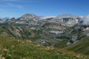 Obraz premium Bisaurin-Bernera - 1