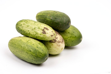Fresh cucumbers dirty with soil isolated over white background