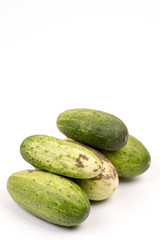Fresh cucumbers dirty with soil isolated over white background