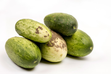 Fresh cucumbers dirty with soil isolated over white background