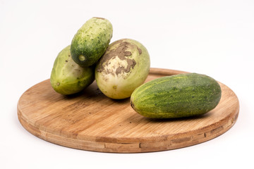 Fresh cucumbers dirty with soil isolated over white background